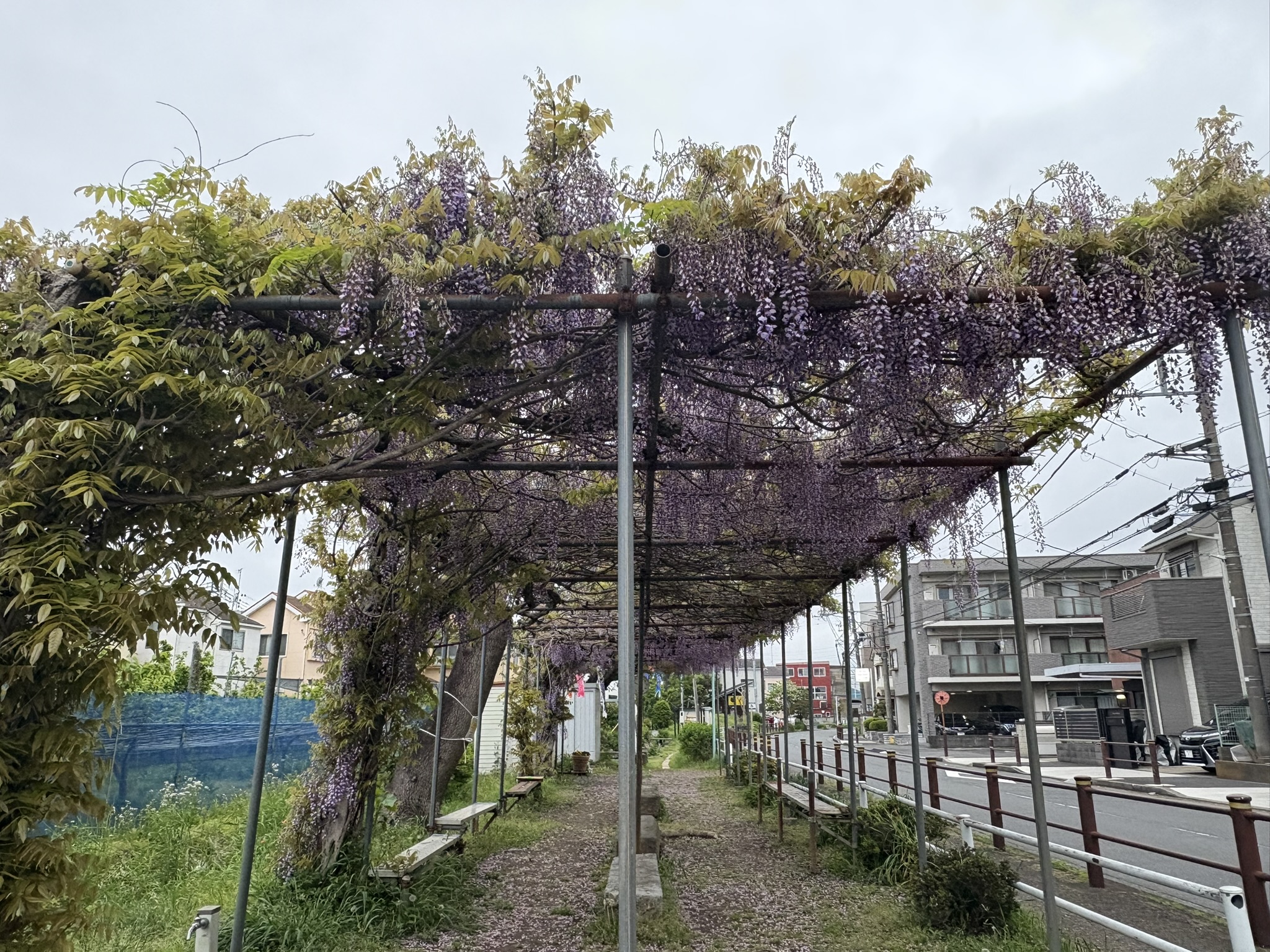 04-25huji
