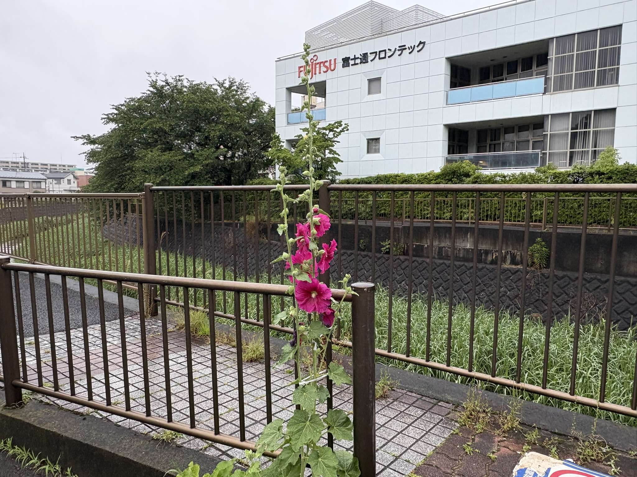 05-25tatiaoi
