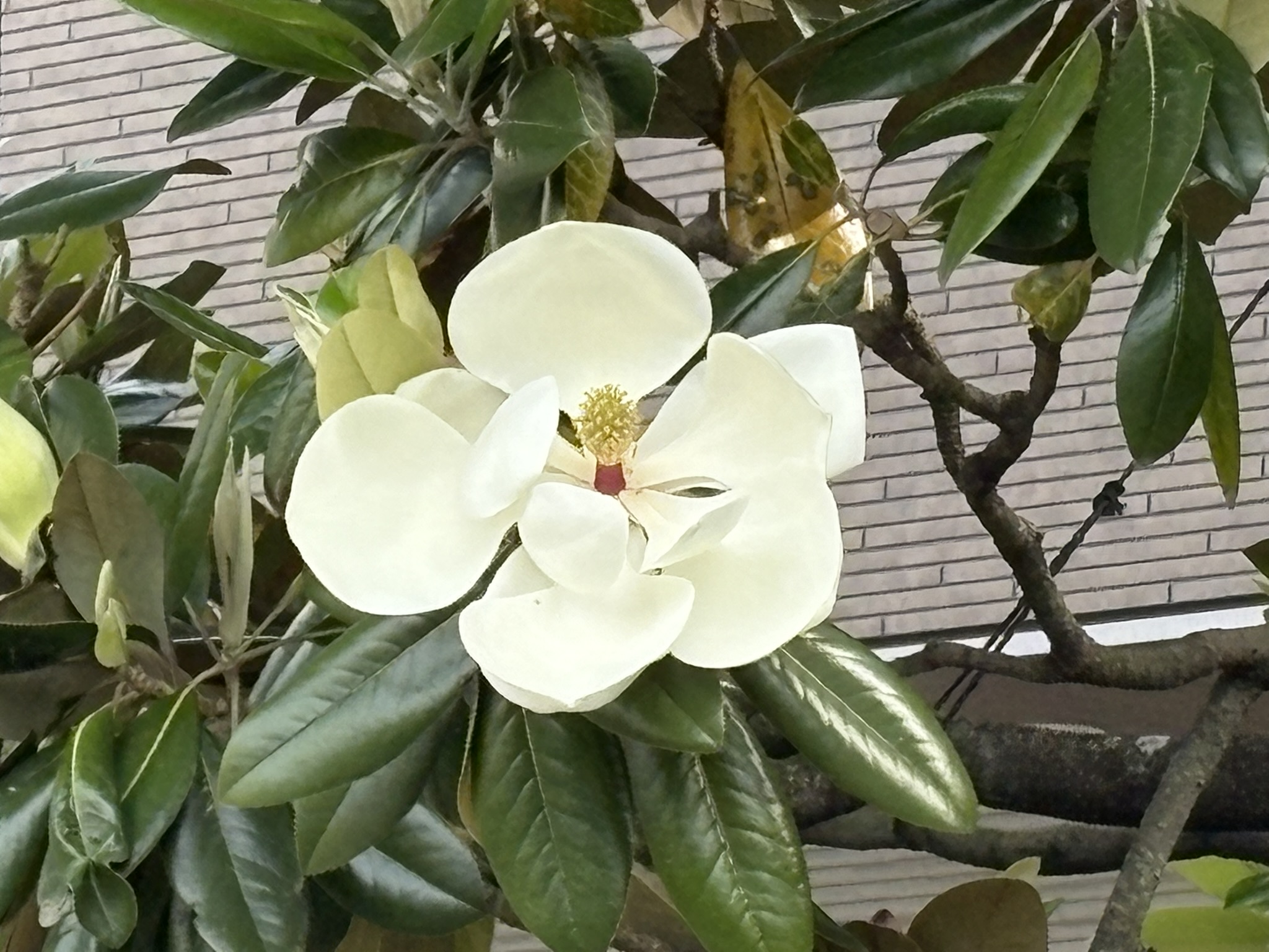 05-29taisannboku