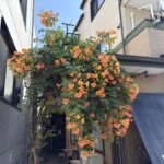 06-22nouzenkadura