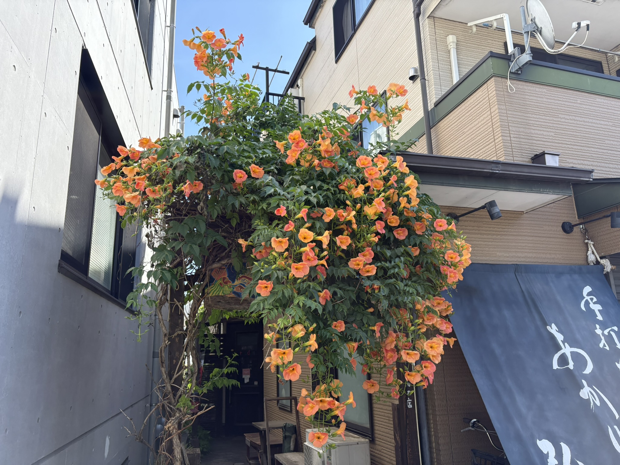 06-22nouzenkadura