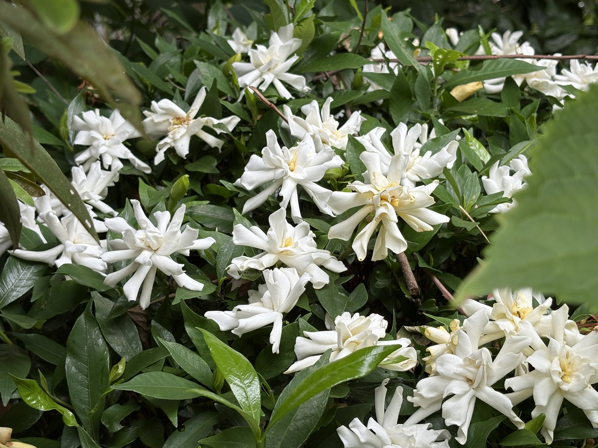 06-24kokutinasi