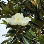 06-25taisannboku