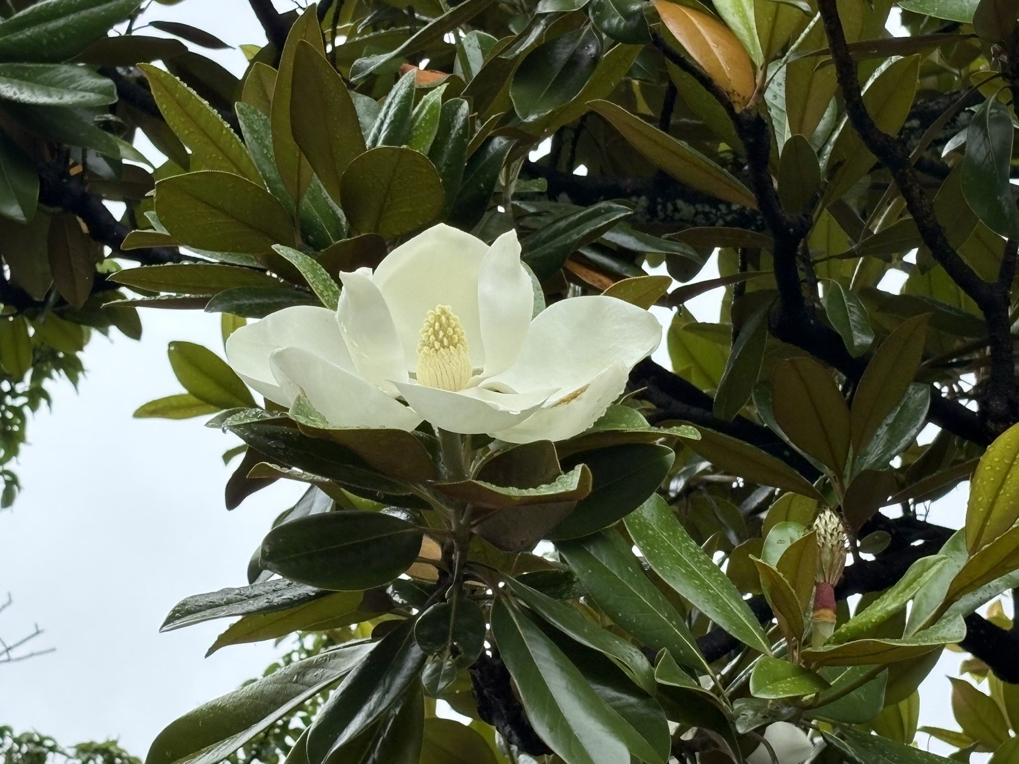06-25taisannboku