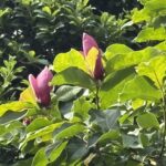 07-05simokuren