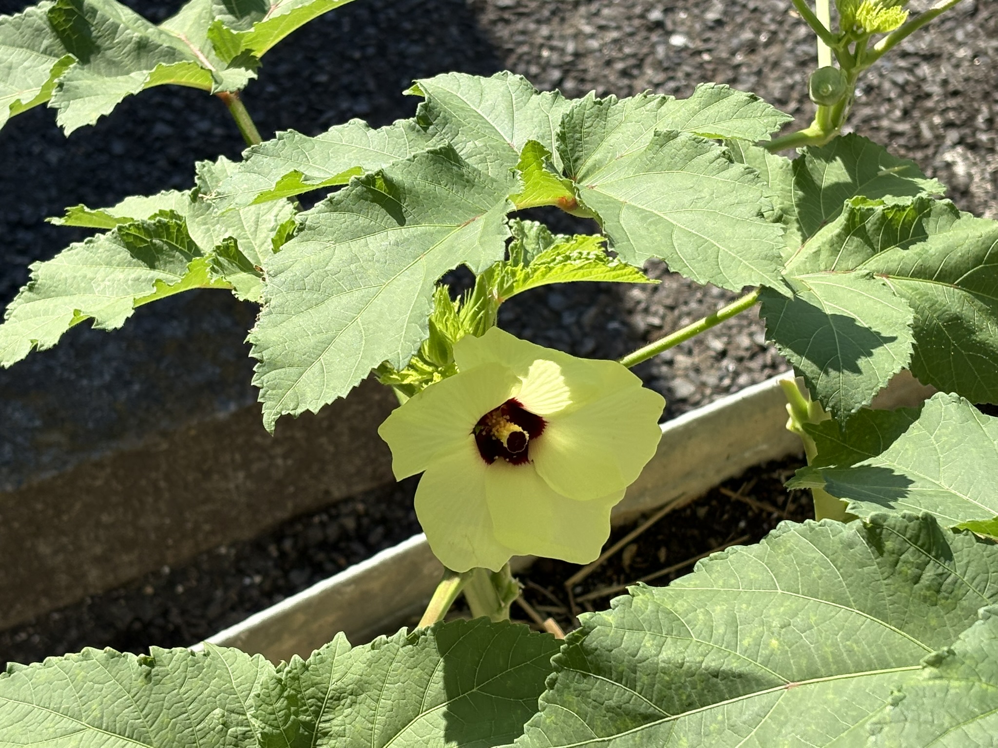 07-29okura