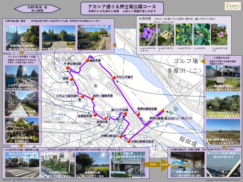 地理院_アカシア通り＆押立堀公園コース（11月）