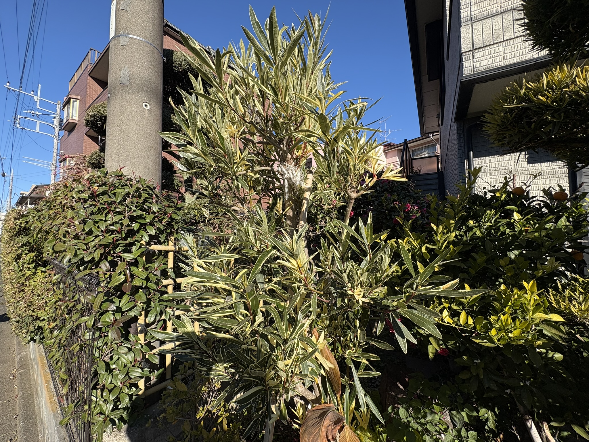 01-23huirikyoutikutou