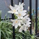 03-06suisennwhitepaper