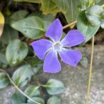 03-07turunitinitisou