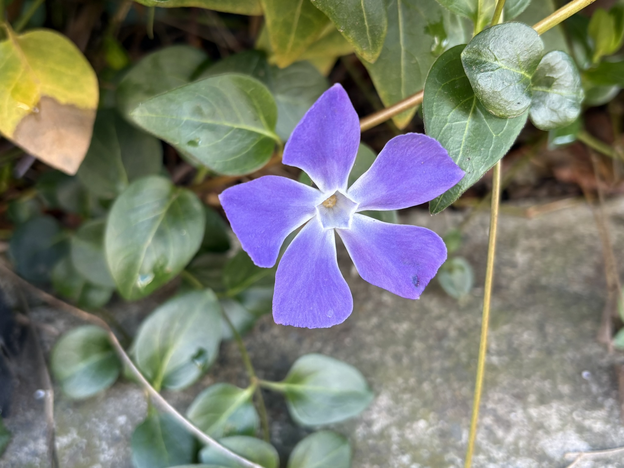 03-07turunitinitisou