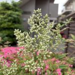 05-20nanten