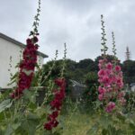 05-22tatiaoi