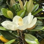 05-26taianboku