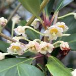 06-23mokkoku