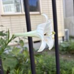 08-05teppoyuri